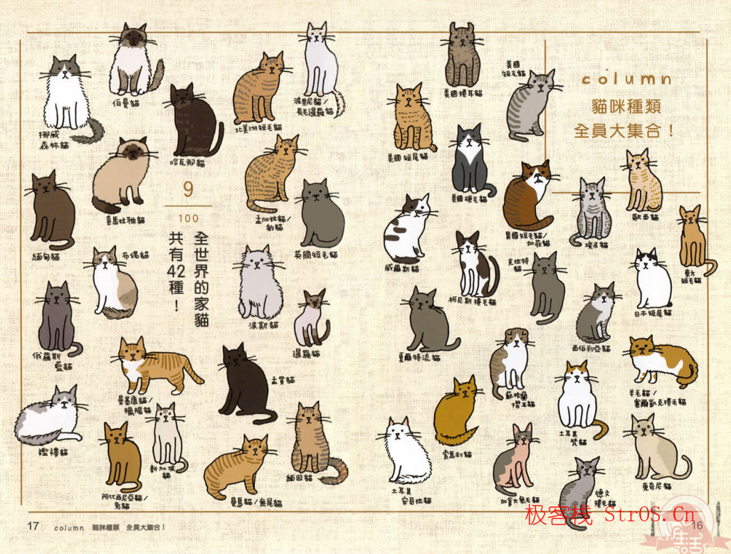 养猫攻略大全 爱猫养护实用手册