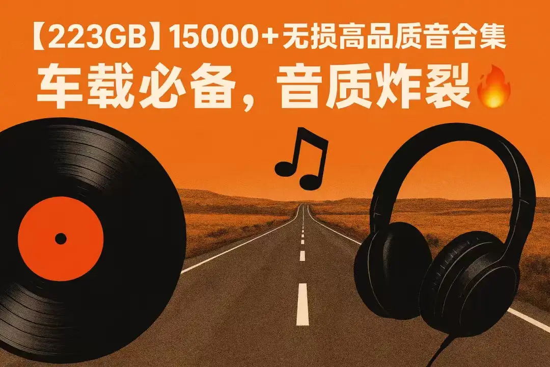246GB 珍藏级车载音乐大合集(无损/儿歌/DSD/经典怀旧)